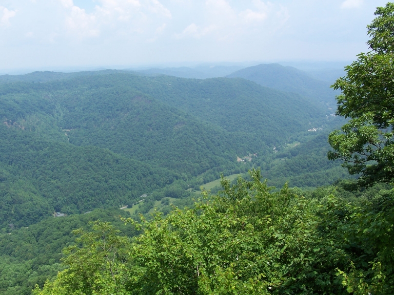 a view of mountains with many trees and green leaves